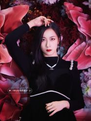 -Sunny喜铺婚礼定制·求婚策划