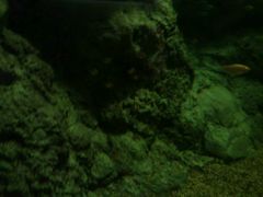-上海海洋水族馆-停车场