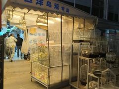-中环花鸟鱼虫市场