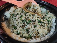 -台山美食一绝阿四台山黄鳝饭(阿四创作店)