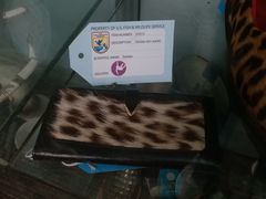 -纽瓦克自由国际机场