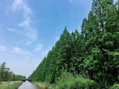 -黄海国家森林公园