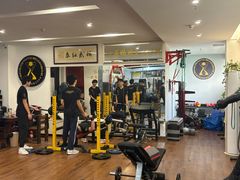 -温鉴良实用咏春拳