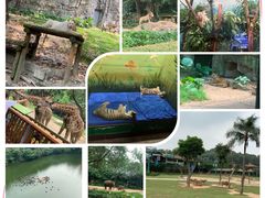 -广州长隆野生动物世界