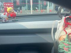 -TESLA 特斯拉(北京南四环中路特斯拉中心)