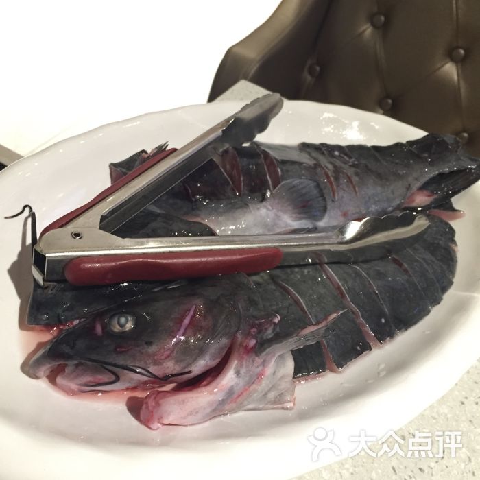 龙门鱼府(同德店)的点评