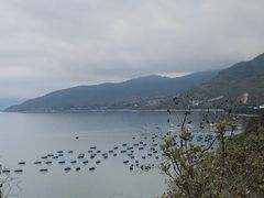 -抚仙湖禄充风景区