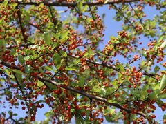 -仙海旅游度假区