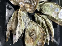 -大富蚝乌东哥饭店·石锅鱼杂·柠檬鸭(革新路店)