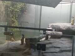 -仲盛世界商城