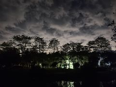 -南宁花花大世界景区