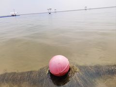 -碧海金沙
