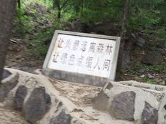 景点-御林古桑园