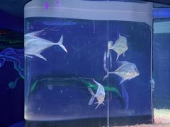 -欢乐海岸海洋奇梦馆