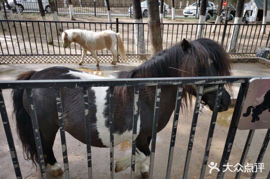 带娃打卡蓝可可亲子乐园，欢乐十足哦