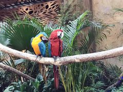 -杭州开元森泊度假乐园