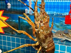 -汕头龙光喜来登酒店