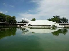 -东方巨龟苑景区