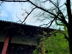 -冶父山国家森林公园
