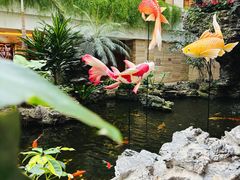 -白天鹅宾馆-宏图府餐厅