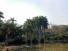 -中国科学院西双版纳热带植物园