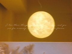 -伊斯坦布尔土耳其清真咖啡餐厅