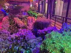 -山菌美食苑(振兴路店)