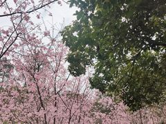 -南溪山景区