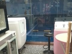 -FAELING PETS美天灵宠物(富力广场店)