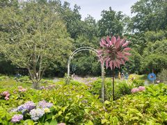 -上海共青森林公园