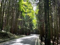 -山王坪喀斯特国家生态公园