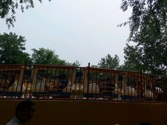 android_upload_pic-秦皇岛乐岛海洋王国