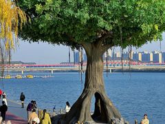 -咸阳湖景区-统一广场