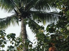 -白沙门生态公园