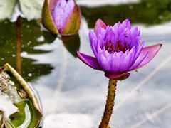 -上海商业会计学校(迎勋路)