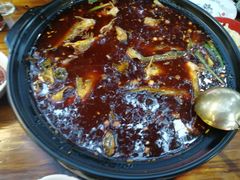 -金海椒罐罐鲢鱼(东方桂苑店)