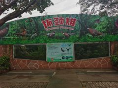 -广州长隆飞鸟乐园