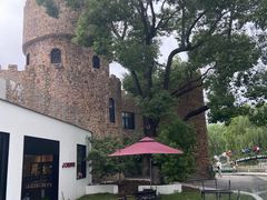 -J Create城市露营咖啡·简餐·宠物(上海动物园店)