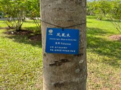-中国科学院西双版纳热带植物园