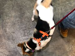 -香港会议展览中心演讲厅