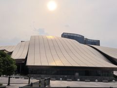 -合肥大剧院