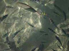 -麦哲伦丝绸度假村