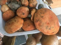-野菌王牦牛肉汤锅