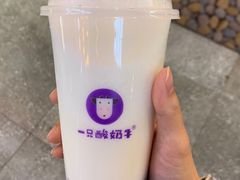 -八一路好吃街(雨田商务大厦店)