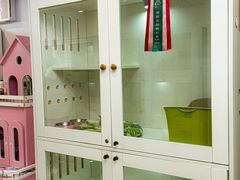 -青奢宠物·青奢猫舍