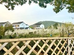 -树山生态村