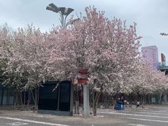 -北京奥林匹克公园