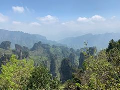-武夷山风景名胜区-玉女峰
