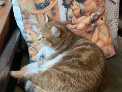 -咖法森林·咖啡  酒吧(天河店)