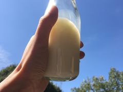 -正飞鲜奶(南湖一期店)